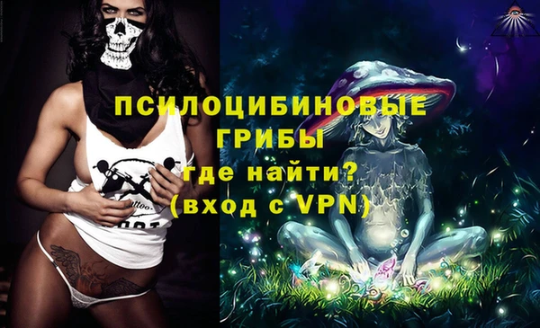 сатива Покачи