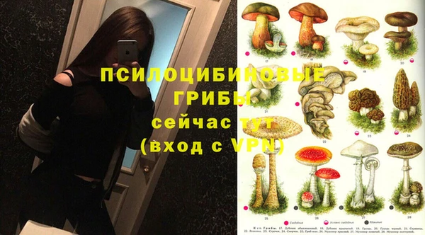 хмурый Абинск