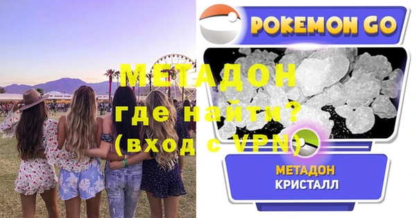 гашик Алексин