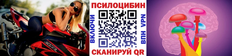 Галлюциногенные грибы Psilocybe  нарко площадка состав  Новомичуринск 